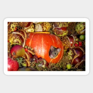 Autumn wild mice with a halloween pumpkin Sticker
